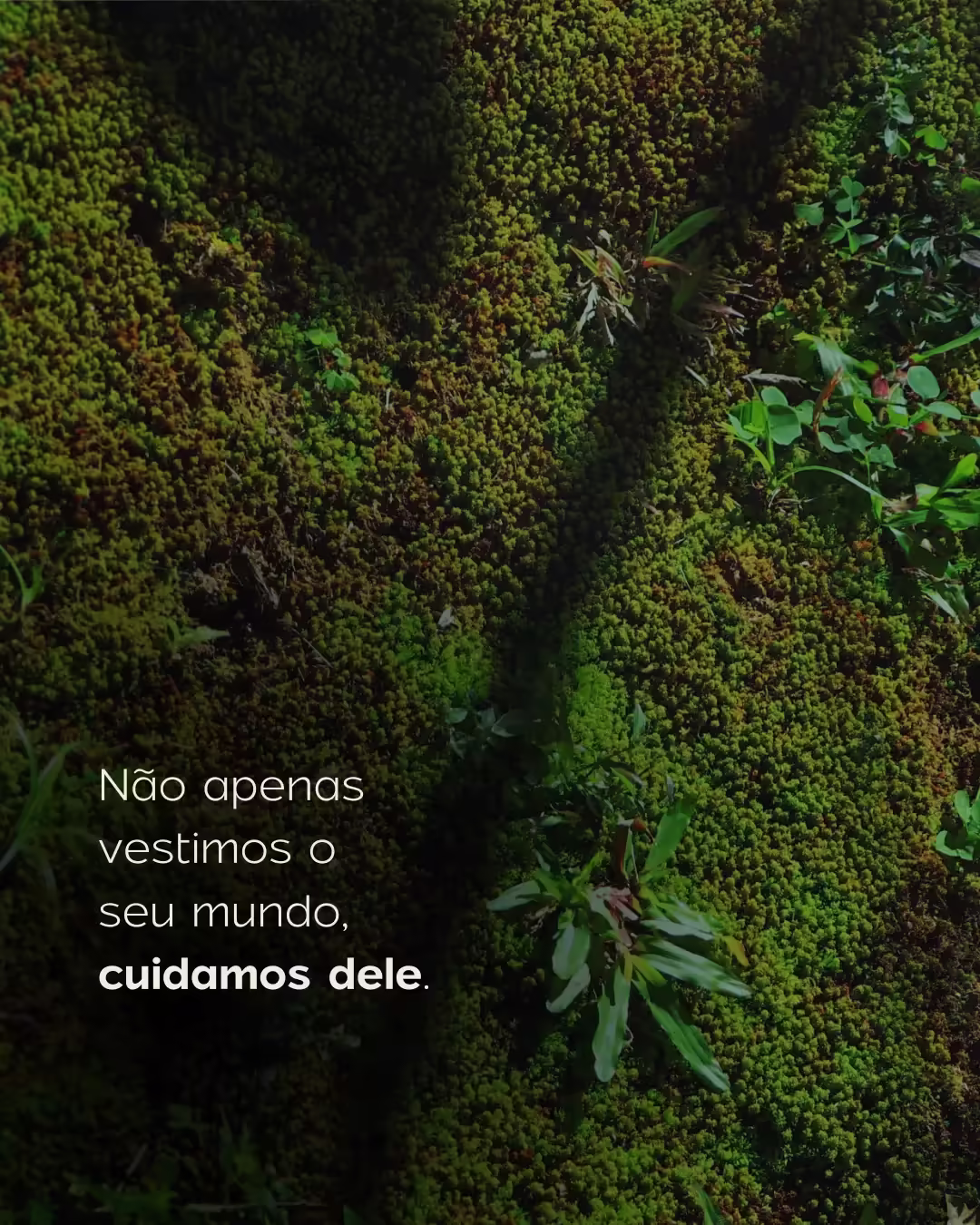 @sastoree